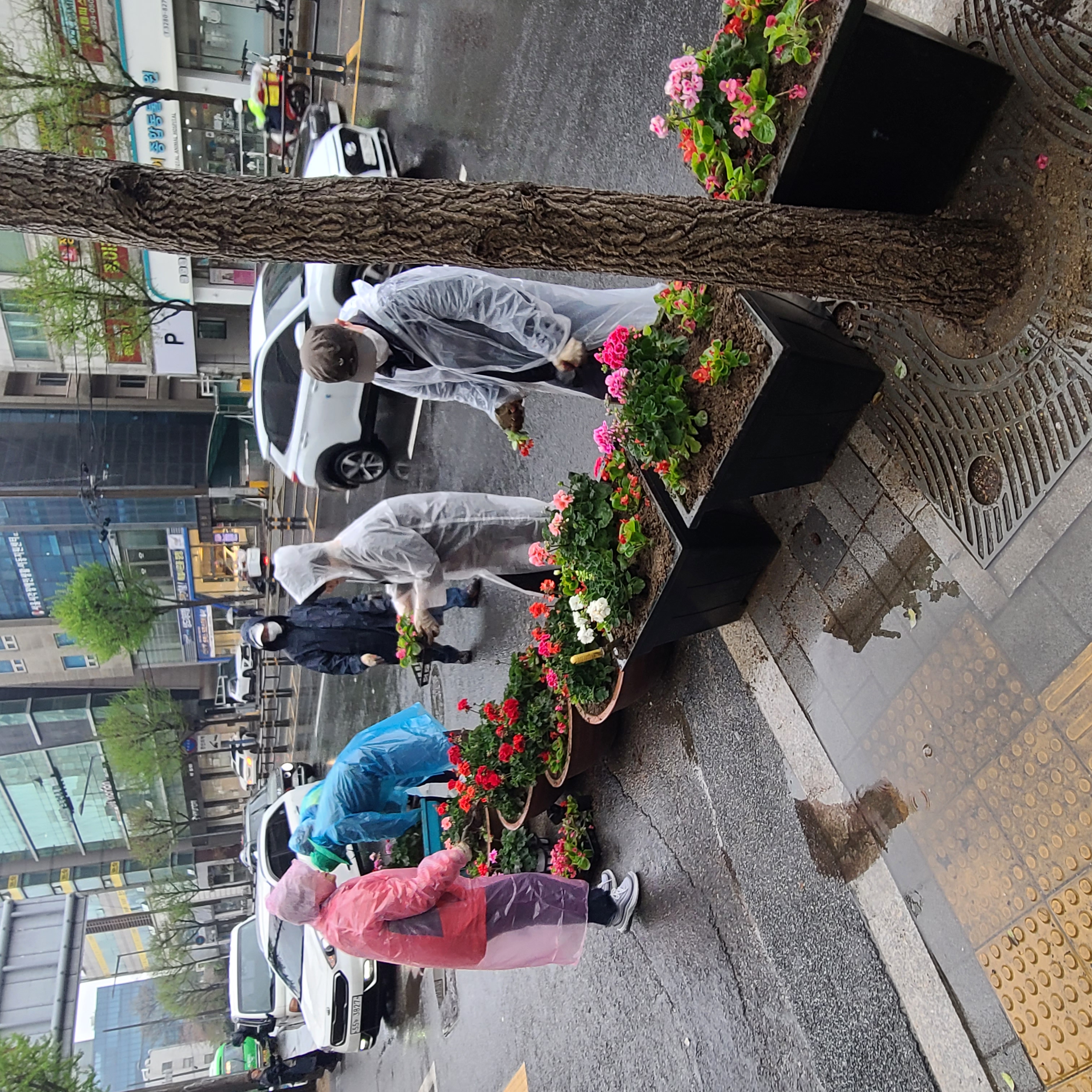 꽃길조성3.jpg