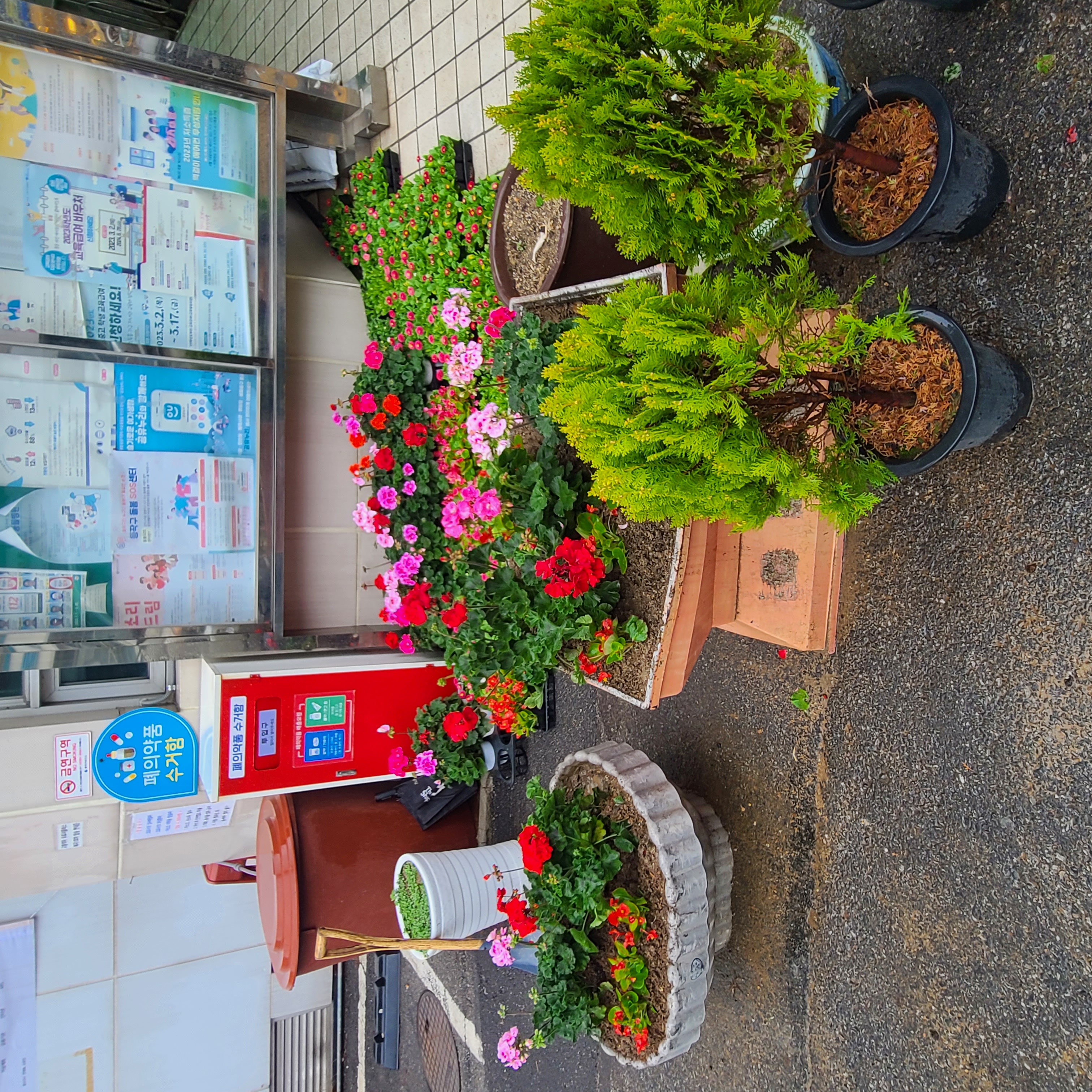 꽃길조성4 (1).jpg