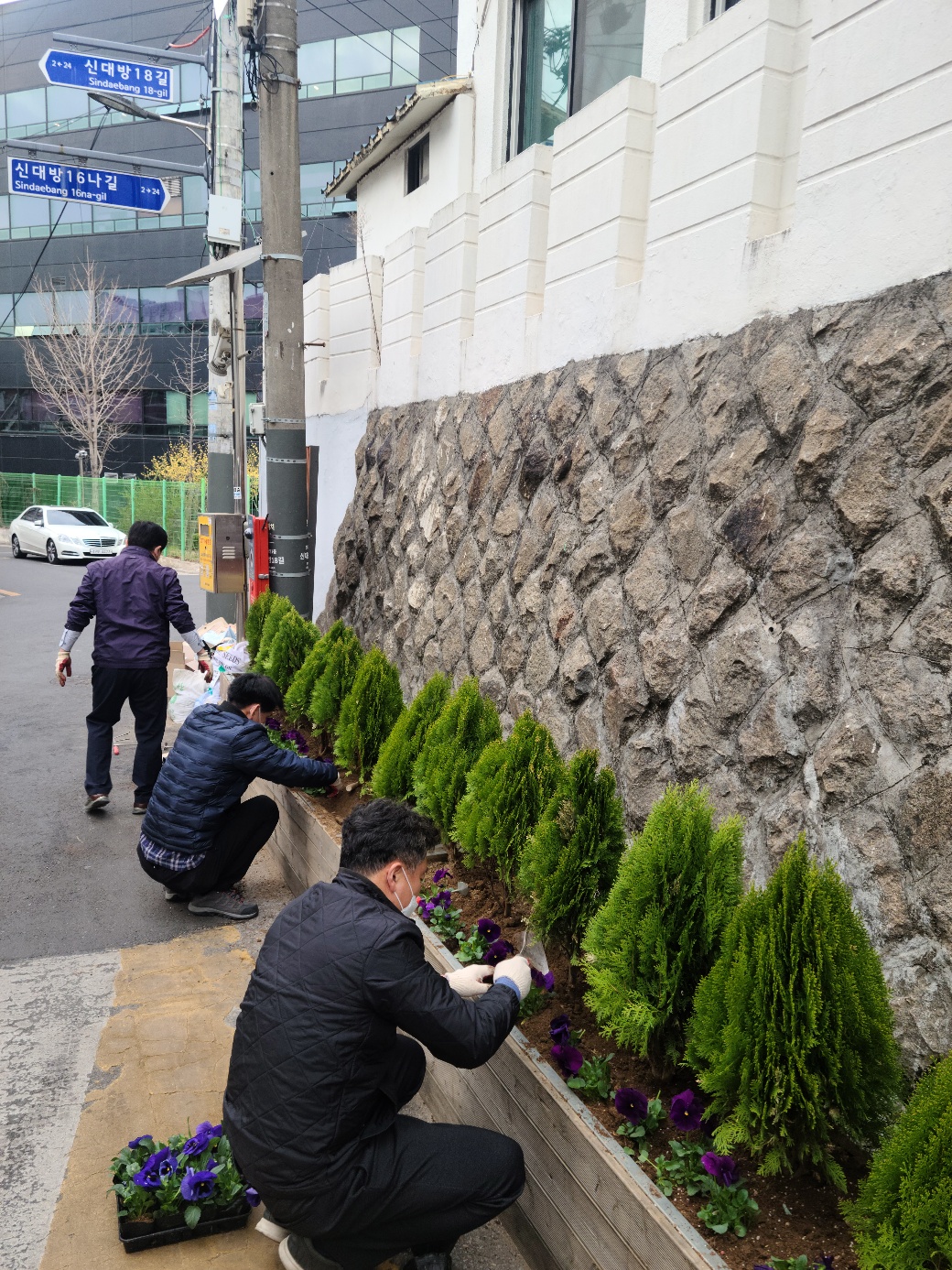 우리동네 꽃길조성(3).jpg