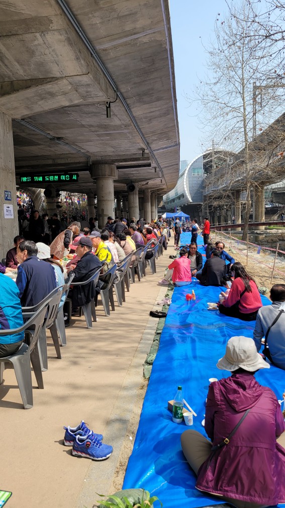 벚꽃축제 2.jpg