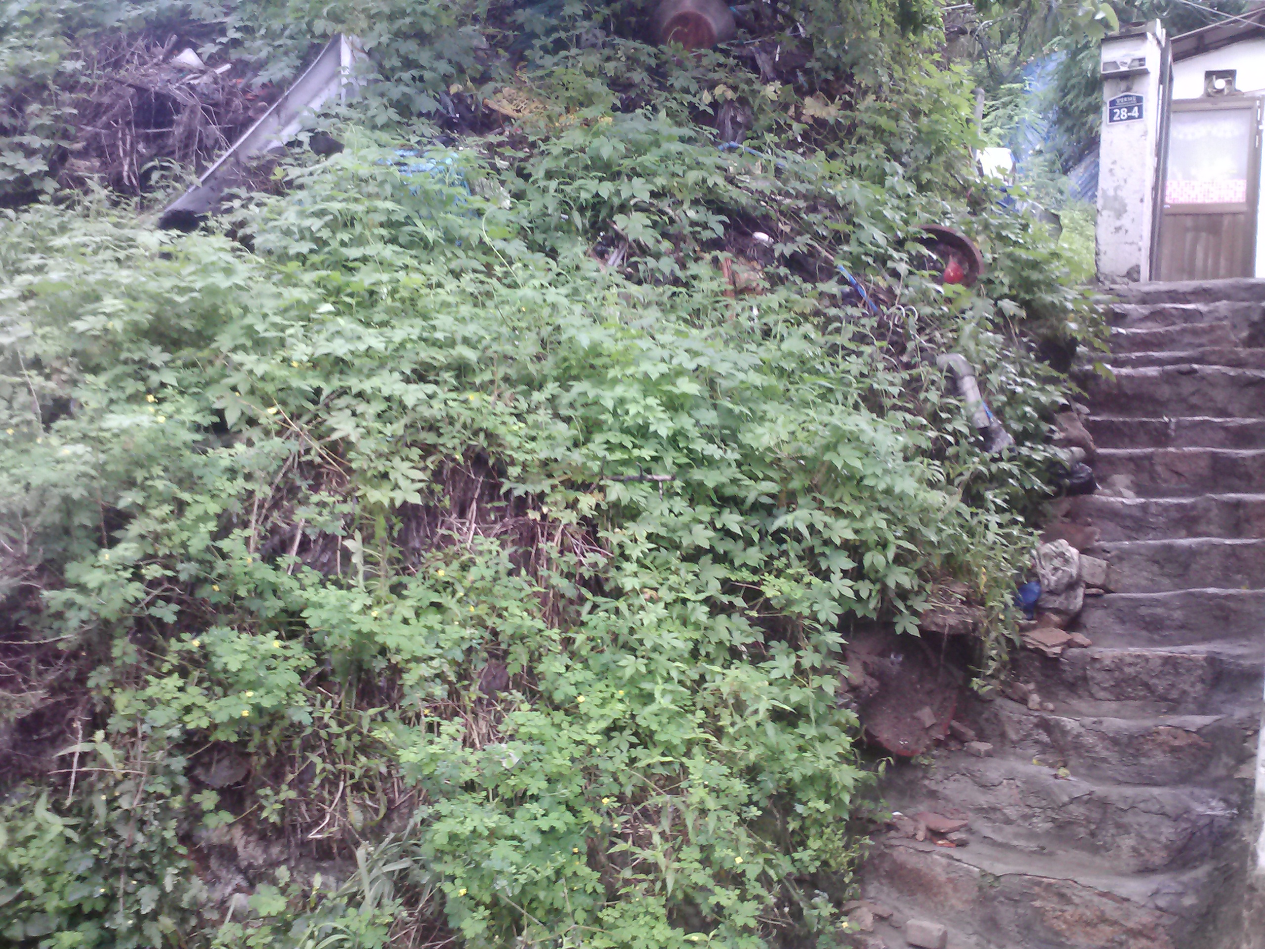 20130715 우물쪽 양녕로34길30-2축대토사유실 (1).jpg