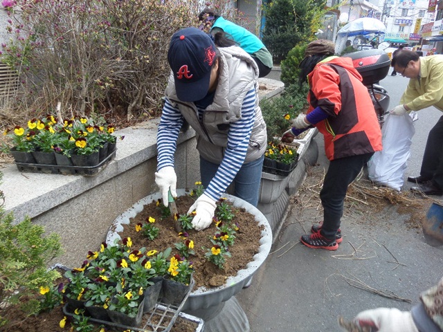 2015.4.8. 꽃길 조성 (26).JPG