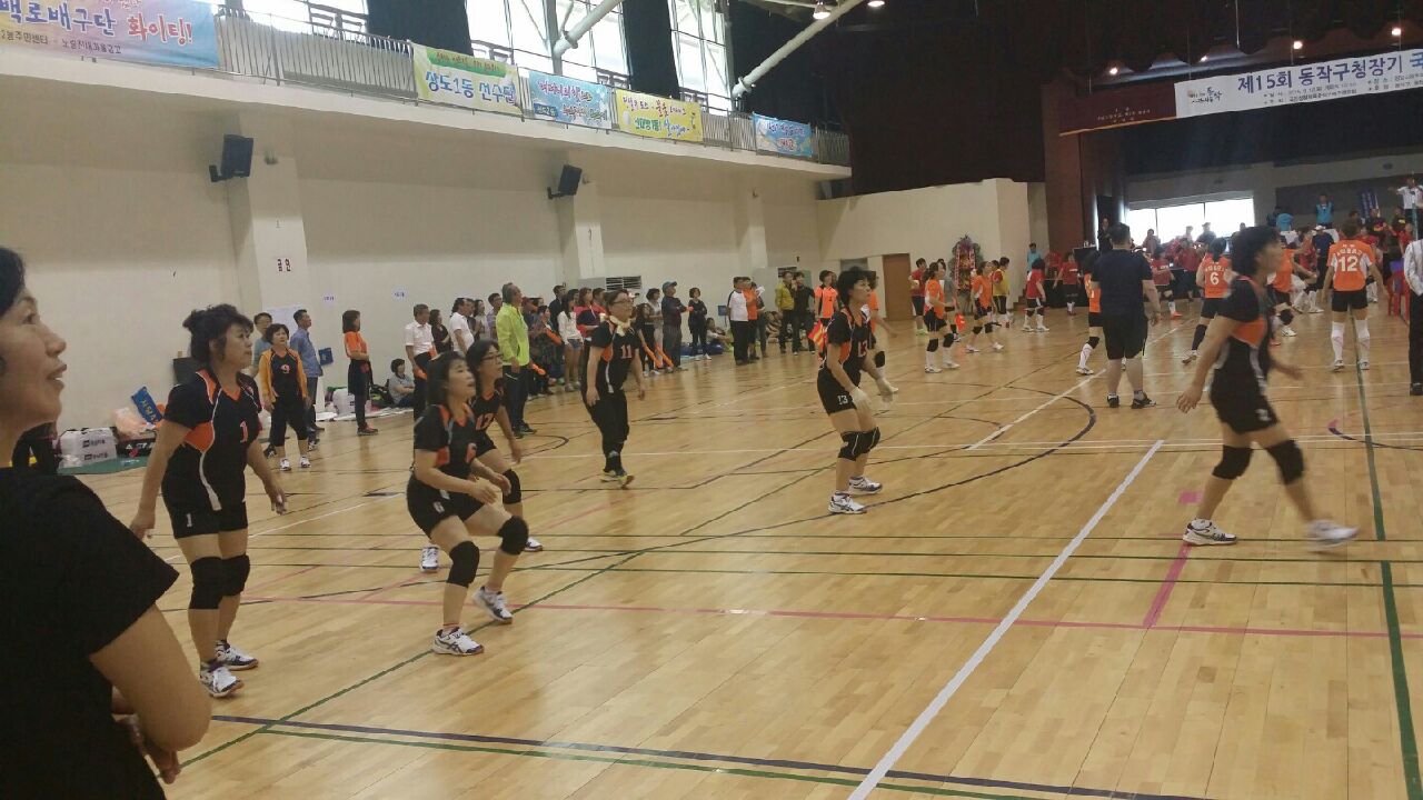 배구4.jpg