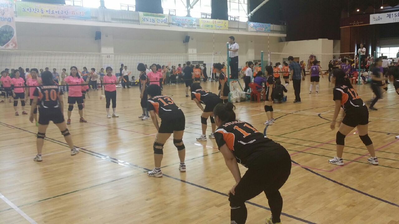 배구1.jpg