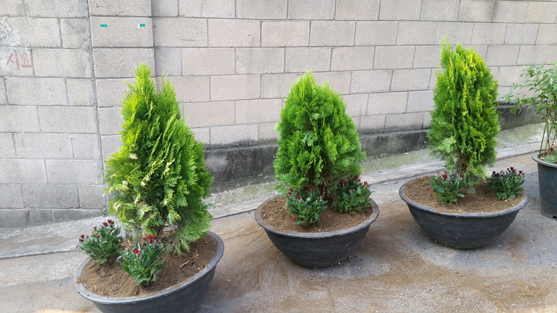 꽃질조성 완료사진(20151008.jpg