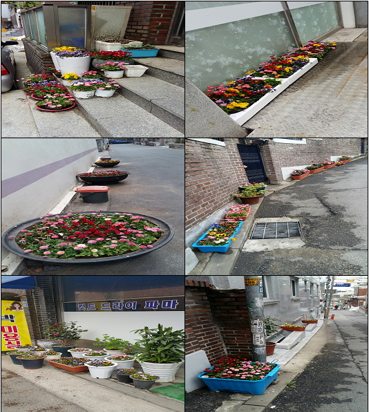 골목길 꽃화분샷.jpg