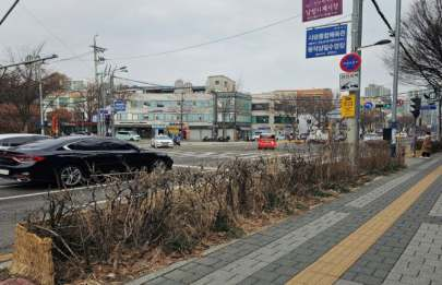 시행 전 첨부사진