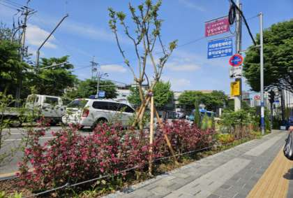 시행 후 첨부사진