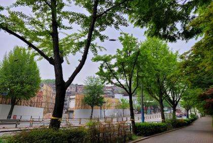 시행 전 첨부사진