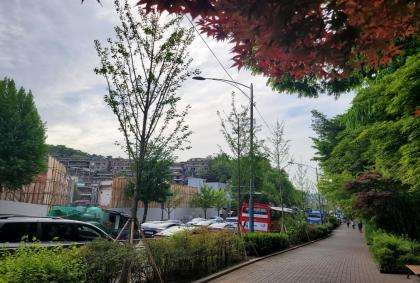 시행 후 첨부사진