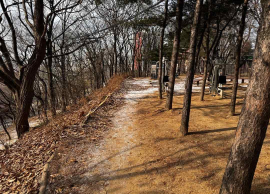 시행 전 첨부사진