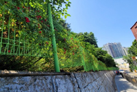 시행 후 첨부사진