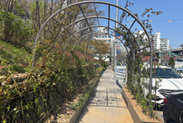 시행 전 첨부사진