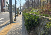 시행 후 첨부사진