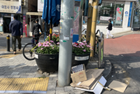 시행 전 첨부사진