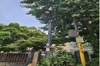 시행 전 첨부사진