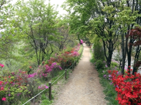 까치산근린공원