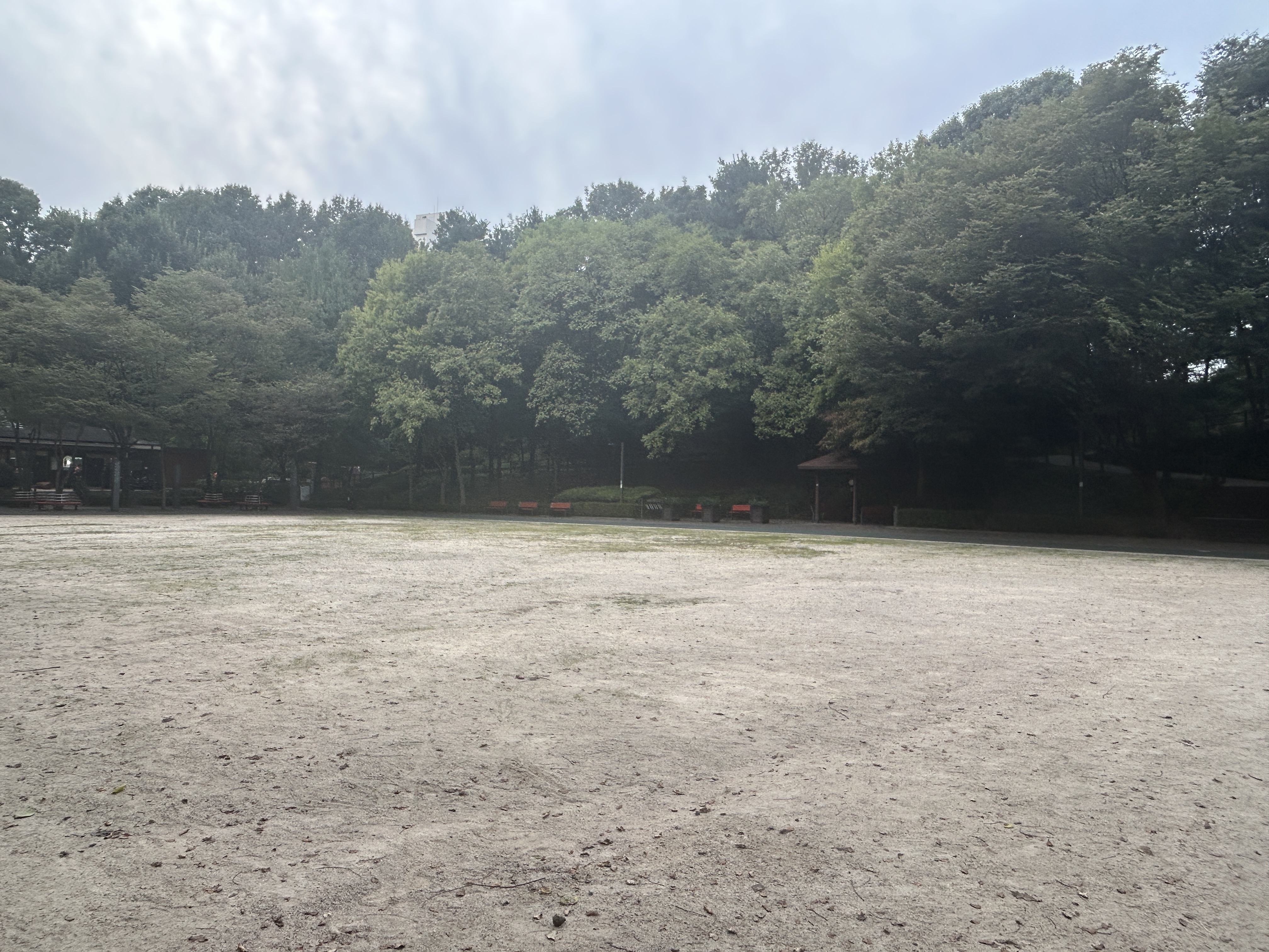 대방공원운동장.jpeg