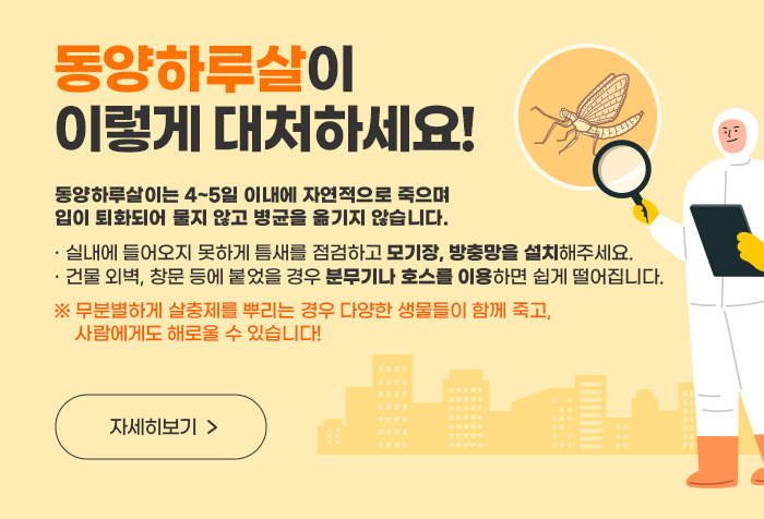 동양하루살이 이렇게 대처하세요!