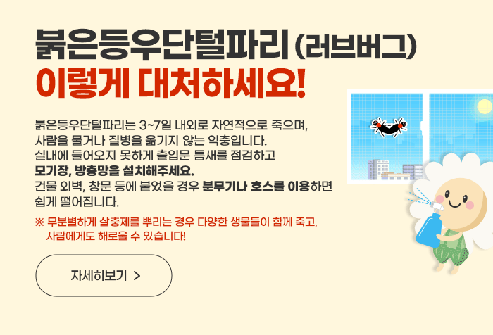 붉은등우단털파리(러브버그) 이렇게 대처하세요!