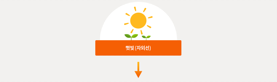 햇빛(자외선)은 다음의 반응을 일으킵니다.