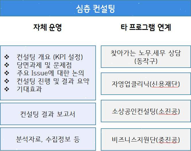 심층 컨설팅